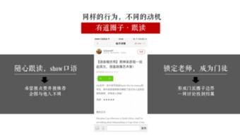 李政的视频,揭秘成功之道