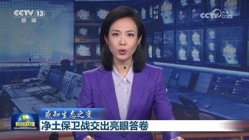 独家新闻日本pan,日本Pan最新动态与影响