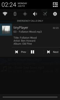 tiny 在线播放,轻松享受短视频盛宴