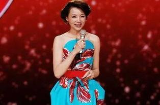 董卿现任老公的前妻,董卿现任老公前妻的传奇人生