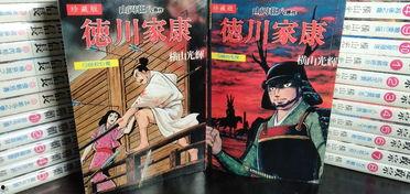 日本故乡漫画,日本漫画中的温馨记忆与情感共鸣