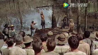 西部浪子免费观看,免费畅享西部风情之旅