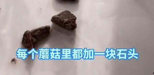 蘑菇视频爆料黑料吃,揭秘娱乐圈黑料风波