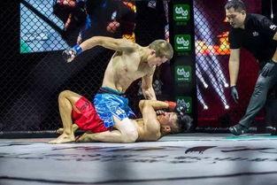 裸绞视频,从视频解析到实战应用