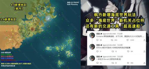 枫丹爆料海底世界视频,瑰丽奇观尽收眼底